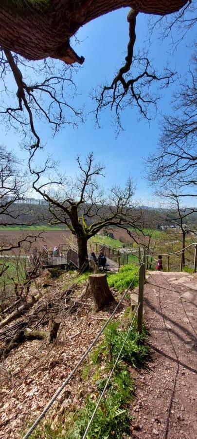 Ferienwohnung Froschkönig mit Teichblick Trendelburg Exterior foto
